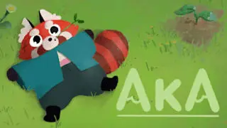 Aka Icon