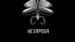 HEXAPODA Banner