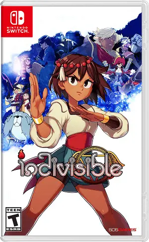 Indivisible Icon