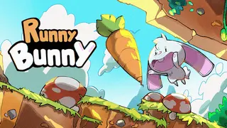 Runny Bunny Banner