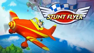 Stunt Flyer Banner