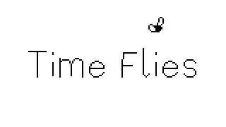 Time Flies Banner
