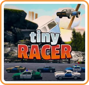 Tiny Racer Icon